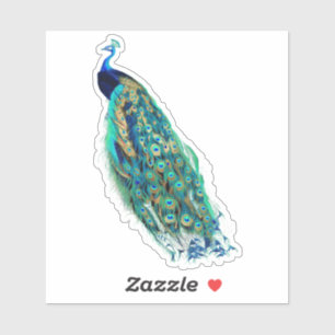 PixDezines Peacock Groen Blauw + Goud Sticker