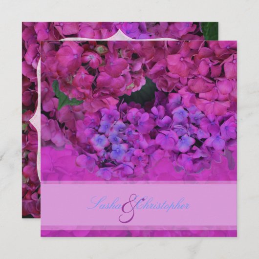 PixDezines Pink/Fuschia Hydrangea Kaart (Voorkant / Achterkant)