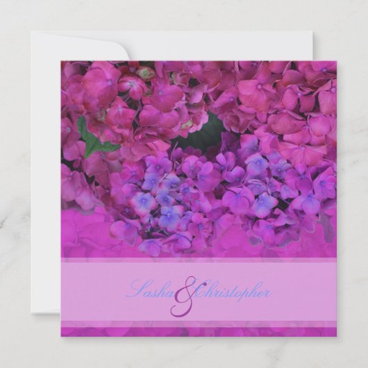 PixDezines Pink/Fuschia Hydrangea Kaart (Voorkant)