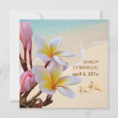 PixDezines Pink Plumeria + Beach + zeester Kaart (Voorkant)