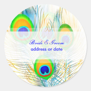 PixDezines Pizzazz Peacock Veer/doe-het-zelf kleur Ronde Sticker