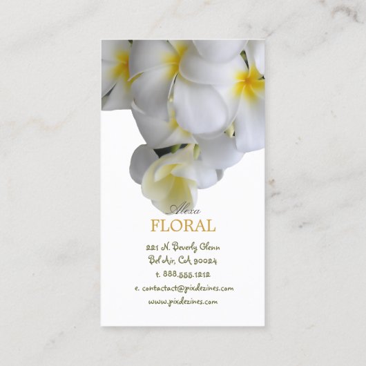 PixDezines Plumeria+filigree-zirls/dij-kleuren Visitekaartje (Achterkant)