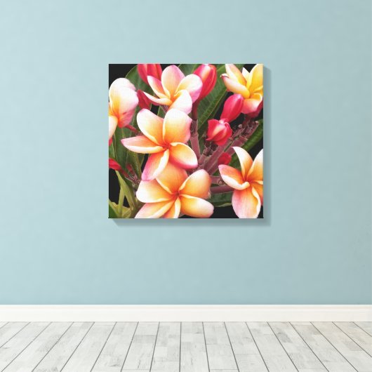 PixDezines Plumeria/Penang Peach Canvas Afdruk (Insitu (Houten vloer))