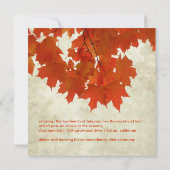 PixDezines Red maple bladeren/herfst/herfstgebeurt Kaart (Achterkant)