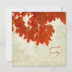 PixDezines Red maple bladeren/herfst/herfstgebeurt Kaart