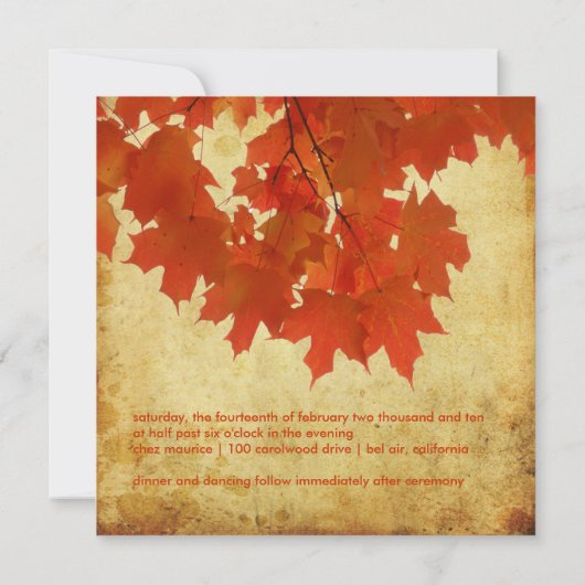 PixDezines  RED MAPLE LEAVES/HERFST/AUTUMN Kaart (Achterkant)