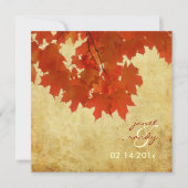 PixDezines  RED MAPLE LEAVES/HERFST/AUTUMN Kaart (Voorkant)