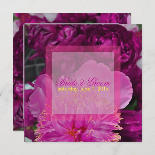 PixDezines rode wijnpinda's/dij Kaart (Voorkant / Achterkant)