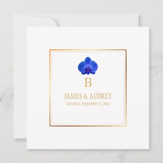PixDezines Royal Blue Orchids/phalaenopsis Kaart (Voorkant)