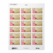 PixDezines  Roze Hibiscus/Faux Parchment Etiket (Full Sheet)