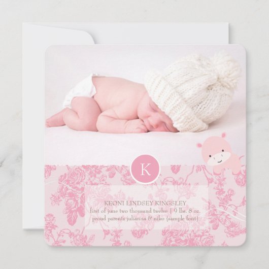 PixDezines roze hippo+toile Aankondiging (Voorkant)