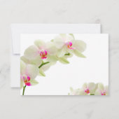 PixDezines roze maui-orchideeën/ontvangstkaarten Kaart (Achterkant)