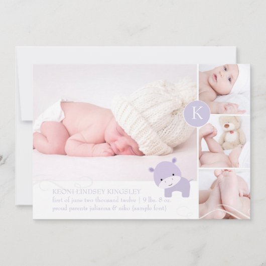 PixDezines roze nijlpaard/diy accent kleur Aankondiging (Voorkant)