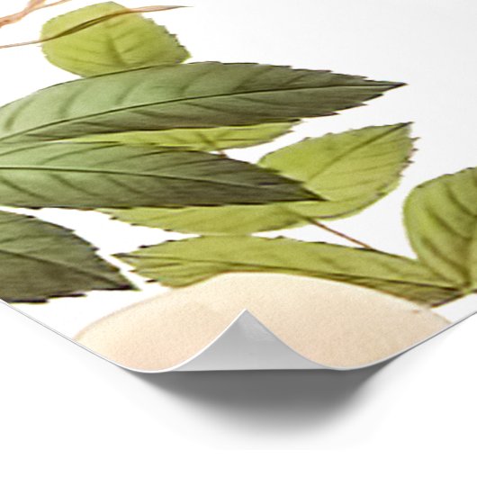 PixDezines  Rozen/Ontvangst Poster (Hoek)