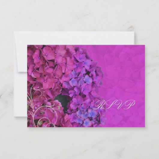 PixDezines RSVP Hydrangea, magenta (Voorkant)