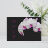 PixDezines rsvp moth orchids/fuschia (Staand voorkant)