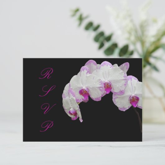 PixDezines rsvp moth orchids/fuschia (Staand voorkant)