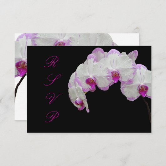 PixDezines rsvp moth orchids/fuschia (Voorkant / Achterkant)