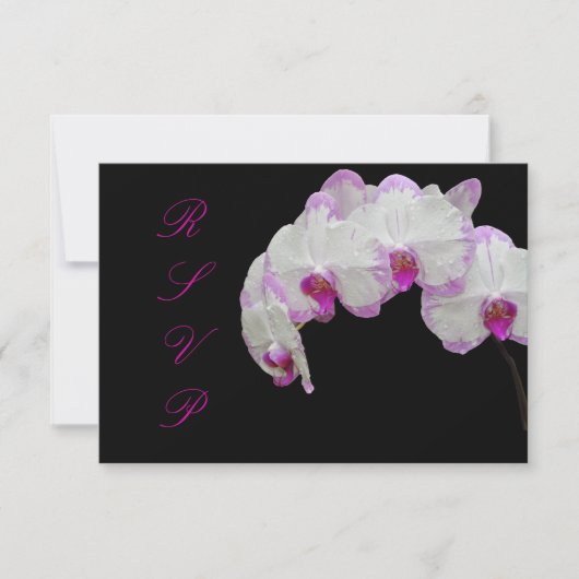 PixDezines rsvp moth orchids/fuschia Kaartje (Voorkant)