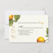 PixDezines RSVP Orchard/Peaches/Redoute (Achterkant)