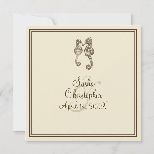 PixDezines seahorse/brown/blue/DIY background Kaart (Voorkant)