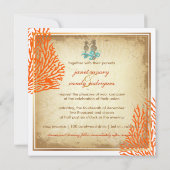 PixDezines  Seahorse+koral Kaart (Achterkant)