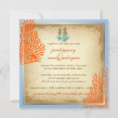 PixDezines  SEAHORSES+CORAL Kaart (Achterkant)