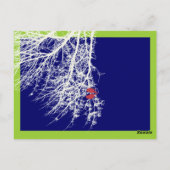 PixDezines sneeuwvogels tafelkaarten Briefkaart (Achterkant)