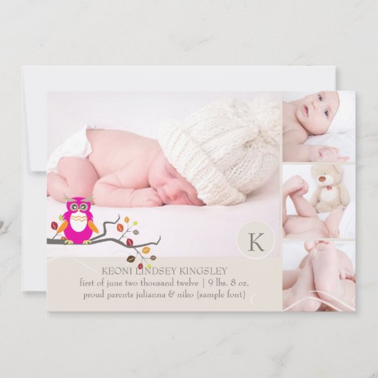 PixDezines uil fotosjabloon geboorte aankondiging (Voorkant)