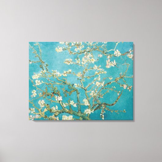 PixDezines van gogh amandelbloesem Canvas Afdruk (Voorkant)