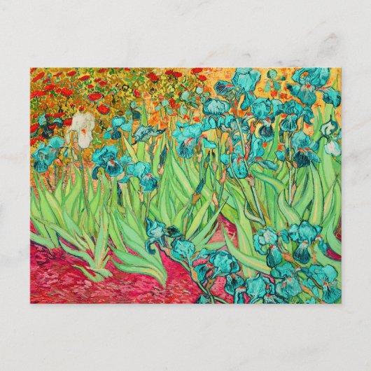 PixDezines van Gogh iris/st. rebelen Briefkaart (Voorkant)
