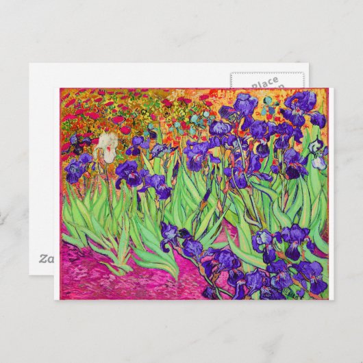 PixDezines van gogh iris/st. remy Briefkaart (Voorkant / Achterkant)