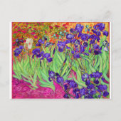 PixDezines van gogh iris/st. remy Briefkaart (Voorkant)