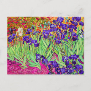 PixDezines van gogh iris/st. remy Briefkaart