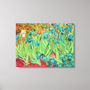 PixDezines van gogh irises/st. remy Canvas Afdruk