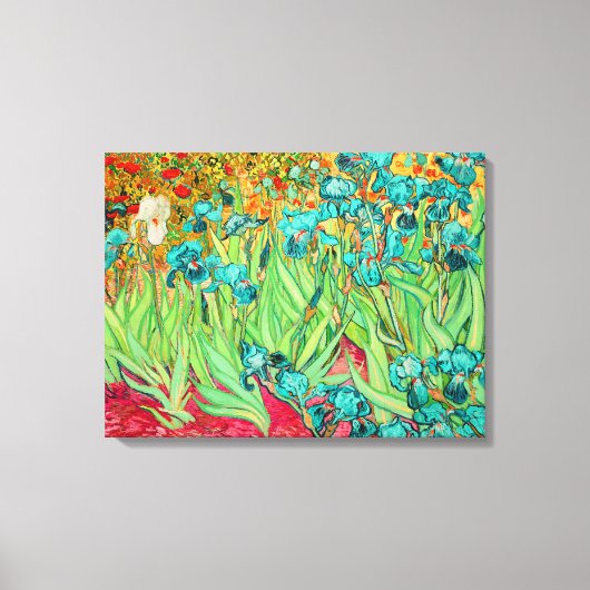 PixDezines van gogh irises/st. remy Canvas Afdruk (Voorkant)