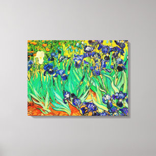 PixDezines van gogh irises/st. remy Canvas Afdruk