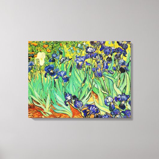 PixDezines van gogh irises/st. remy Canvas Afdruk (Voorkant)