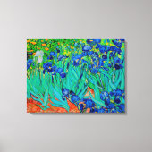 PixDezines van gogh irises/st. remy Canvas Afdruk (Voorkant)