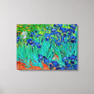 PixDezines van gogh irises/st. remy Canvas Afdruk
