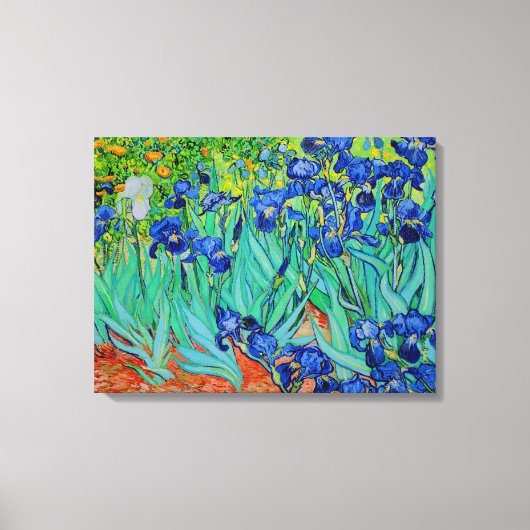 PixDezines van gogh irises/st. remy Canvas Afdruk (Voorkant)
