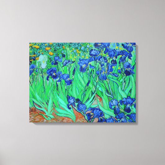 PixDezines van gogh irises/st. remy Canvas Afdruk (Voorkant)