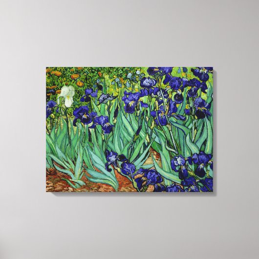 PixDezines van gogh irises/st. remy Canvas Afdruk (Voorkant)