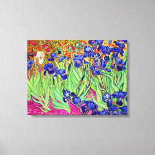 PixDezines van gogh irises/st. remy Canvas Afdruk