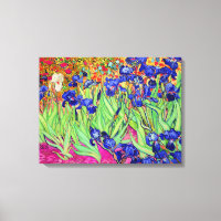 PixDezines van gogh irises/st. remy
