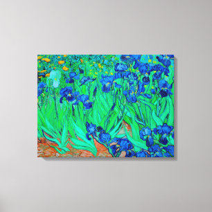 PixDezines van gogh irissen/st. remy Canvas Afdruk