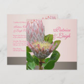 PixDezines verse maui protea bleek roze/dij Kaart (Voorkant / Achterkant)