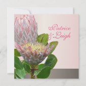 PixDezines verse maui protea bleek roze/dij Kaart (Voorkant)
