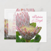 PixDezines verse maui protea bleek roze/dij Kaart (Voorkant / Achterkant)
