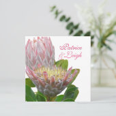PixDezines verse maui protea bleek roze/dij Kaart (Staand voorkant)